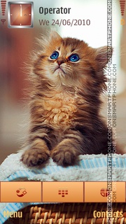 Curious Kitten для Nokia N8